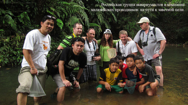 Borneo 2013