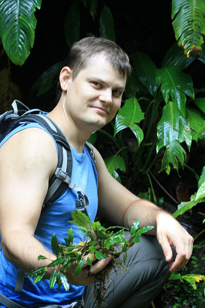 Роман Магин с буцефаландрой колючей (Bucephalandra akantha). Puncak Borneo Resort, Sarawak, Borneo