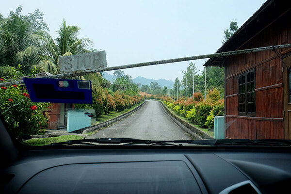 Шлагбаум на вьезде в заповедник Puncak Borneo Resort