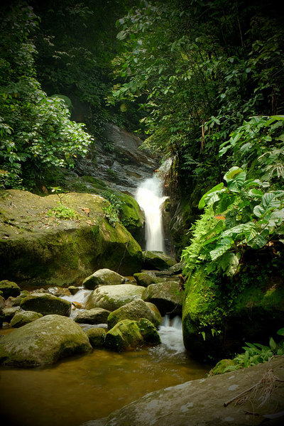 Подход к водопаду прикрывают огромные валуны, скользкая поверхность которых серьезно затрудняет передвижение. Borneo Highlands Resort 