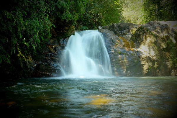 Речки с водопадами - одни из самых красивых мест на планете. Sinharaja Forest Reserve, Deniyaya, Sri Lanka.