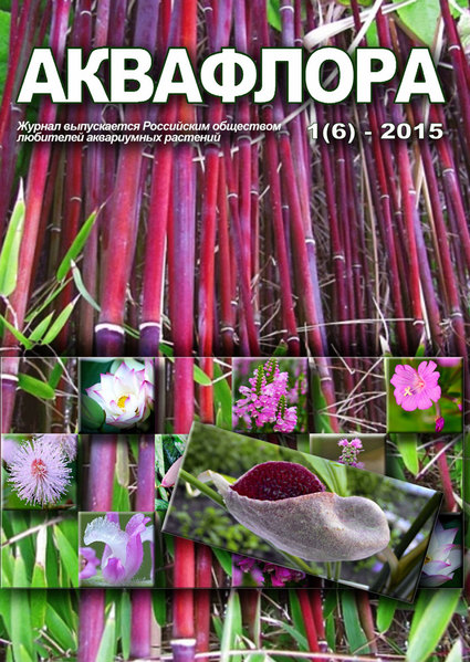 Обложка шестого номера журнала "Аквафлора". Журнал посвящен водным и болотным растениям