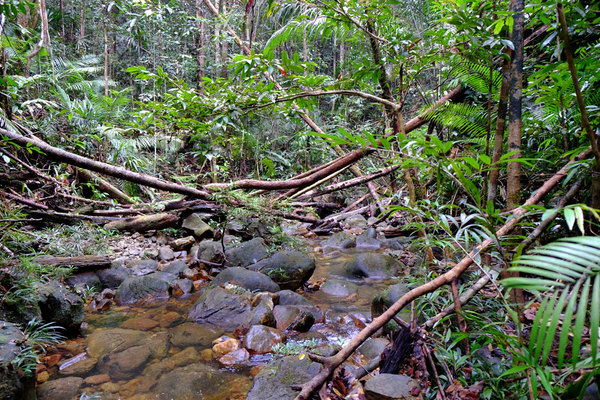 Горный ручей, Bau, Sarawak, Borneo