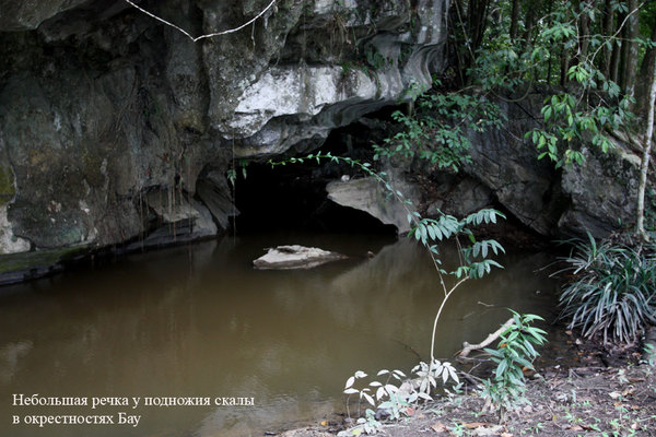 Sungai Spora - место обитания ржавой криптокорины в природе