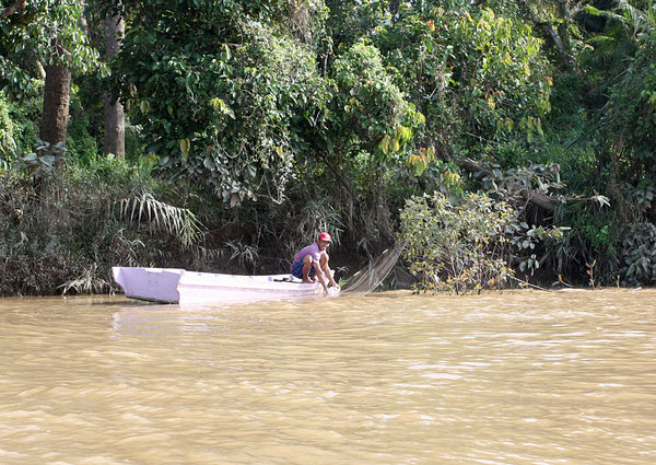 Рыбак на реке Кинабатанган, Сабах, Борнео. Вода в реке имеет практически нулевую прозрачность.