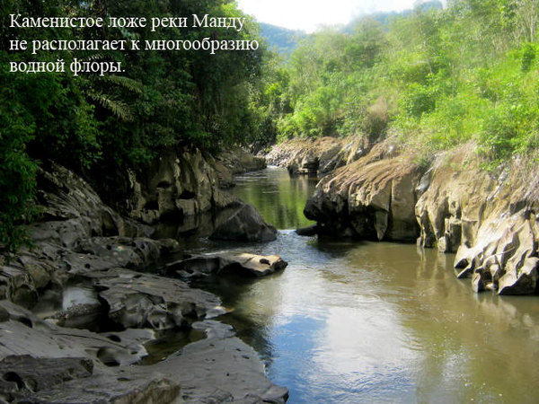 River Mandu, NE Kalinantan