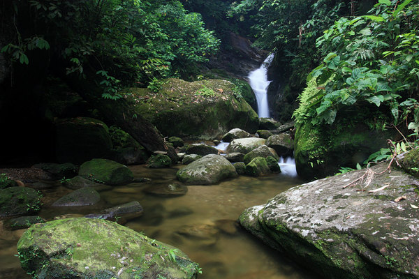 Водопад в Borneo Highlands Resort - биотоп обитания буцефаландры колючей (Bucephalandra akantha)