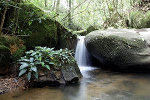 Liwagu river
