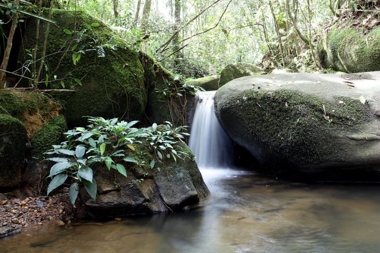 Liwagu river