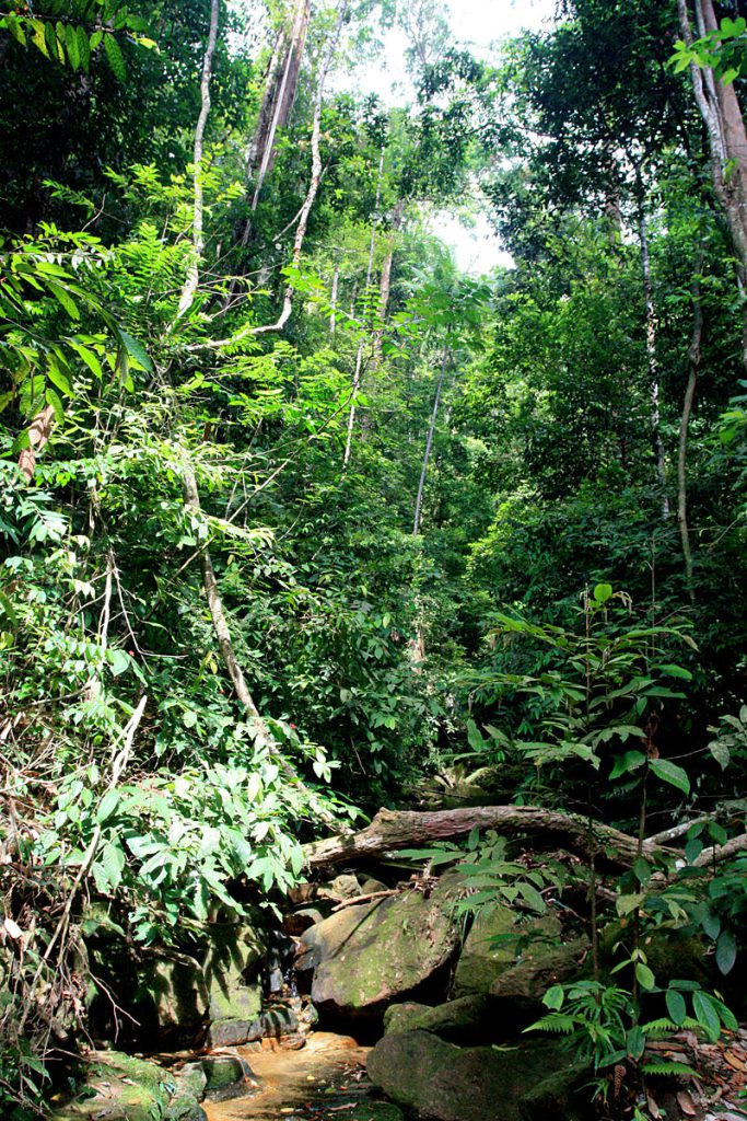 Santubong