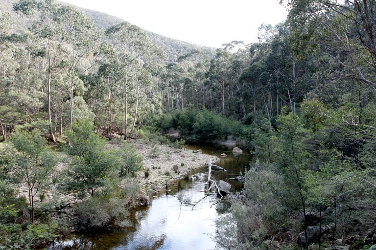 Lerderderg river