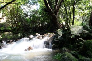 River Kau To Hong