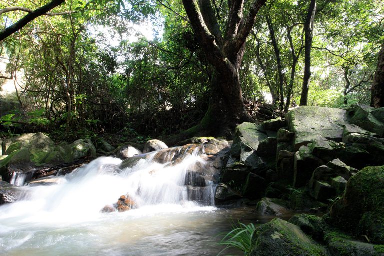 River Kau To Hong