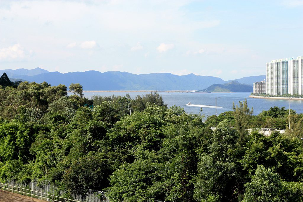 Cove Sha Tin Hoi