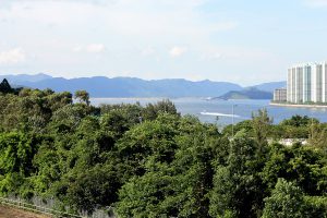 Cove Sha Tin Hoi