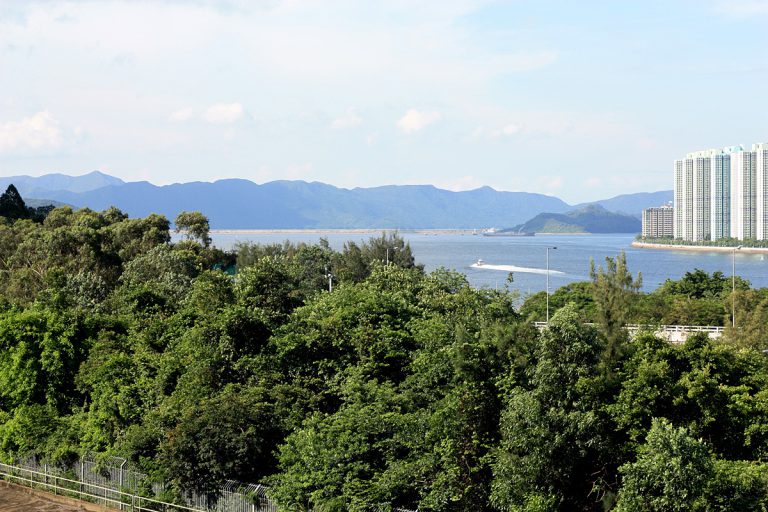 Cove Sha Tin Hoi